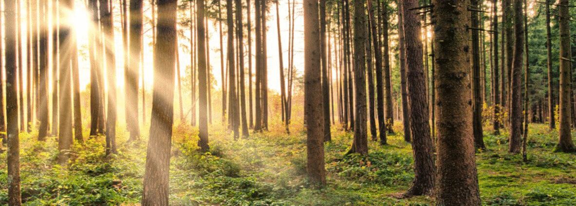 ESI installatietechniek B.V.